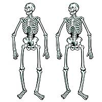 Algopix Similar Product 10 - Beistle Jointed Skeletons 22