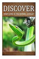 Algopix Similar Product 11 - What Lives in the Borneo Jungle 