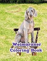 Algopix Similar Product 15 - Weimaraner Coloring Book Weimaraner