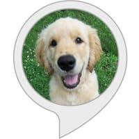 Algopix Similar Product 13 - Baby Animal Trivia