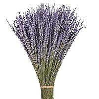 Algopix Similar Product 20 - June Fox Dried Lavender Flowers 270300