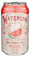 Algopix Similar Product 9 - Waterloo Sparkling Water Waterloo
