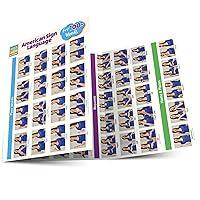 Algopix Similar Product 15 - American Sign Language  First 100