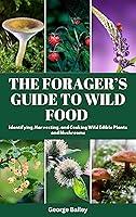 Algopix Similar Product 5 - Foragers Guide to Wild Food 