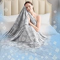 Algopix Similar Product 14 - VK VKLIVING Cooling Blanket for Hot