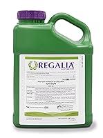 Algopix Similar Product 14 - Marrone Bio Innovations 10596 Marrone