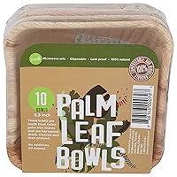 Algopix Similar Product 16 - GREENLID Palm Leaf Bowls, 10 CT