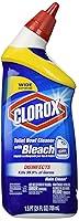 Algopix Similar Product 20 - Clorox Toilet Bowl Cleaner with Bleach