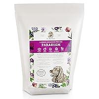 Algopix Similar Product 12 - Dr Harveys Paradigm Green Superfood