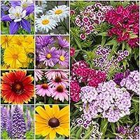 Algopix Similar Product 17 - Seed Needs Large 21 Ounce Package of