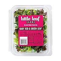 Algopix Similar Product 8 - Little Leaf Farms Crispy Baby Red 