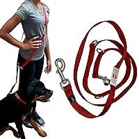 Algopix Similar Product 15 - ActiveDogs Hands Free Dog Leash