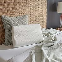 Algopix Similar Product 11 - TempurPedic TEMPURErgo Neck Pillow