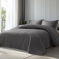 Algopix Similar Product 14 - Bedsure Quilts Queen Size  Lightweight