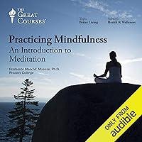 Algopix Similar Product 17 - Practicing Mindfulness An Introduction