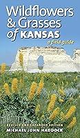 Algopix Similar Product 9 - Wildflowers and Grasses of Kansas A