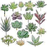 Algopix Similar Product 16 - Augshy Artificial Succulents 16 Pack