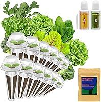 Algopix Similar Product 8 - Inbloom Salad Greens Seed Pod Kit Plant