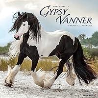 Algopix Similar Product 4 - Gypsy Vanner Horse 2023 Wall Calendar