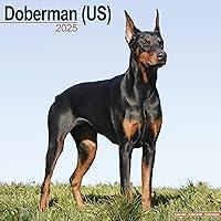 Algopix Similar Product 9 - Doberman US Calendar 2025  Square