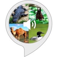 Algopix Similar Product 1 - Animal Sounds