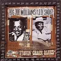 Algopix Similar Product 4 - Stavin' Chain Blues