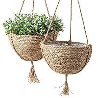 Algopix Similar Product 19 - Natural Seagrass Hanging Planter Basket