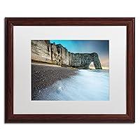 Algopix Similar Product 8 - Trademark Fine Art Gate to The Ocean