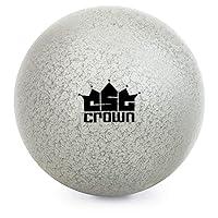 Algopix Similar Product 7 - Shot Put 99 lbs  Silver Cast Iron
