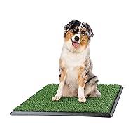 Algopix Similar Product 9 - Artificial Grass Puppy Pee Pad for Dogs