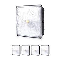 Algopix Similar Product 19 - Parmida 4 Pack LED Canopy Light 70W