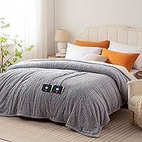 Algopix Similar Product 15 - Westinghouse Electric Blanket Queen