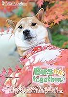 Algopix Similar Product 3 - Bus trip Together  Autumn leaves and