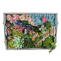 Algopix Similar Product 4 - Silver Farmhouse Tray Unique Moss Art 