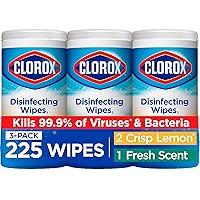 Algopix Similar Product 17 - Clorox Disinfecting Wipes Value Pack