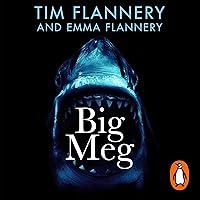 Algopix Similar Product 7 - Big Meg The Story of the Largest