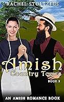 Algopix Similar Product 18 - Amish Country Tours 3 Amish Country