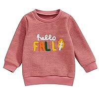 Algopix Similar Product 8 - Toddler Girl Fall Clothes Hello Fall