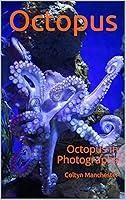 Algopix Similar Product 19 - Octopus: Octopus in Photographs