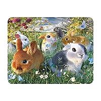 Algopix Similar Product 16 - 3D LiveLife Magnet  Bunnies from