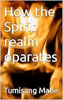 Algopix Similar Product 12 - How the Spirit realm oparates