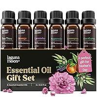 Algopix Similar Product 16 - Essential Oils Set  Top 6 Blends for