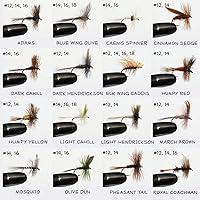 Algopix Similar Product 20 - Barnsley 100 Assorted Dry and Nymph Fly
