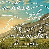 Algopix Similar Product 3 - Where the Lost Wander: A Novel