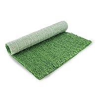 Algopix Similar Product 20 - PetSafe Replacement Grass for Large Pet
