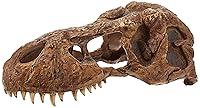 Algopix Similar Product 2 - Exo Terra T-Rex Skull Terrarium Decor