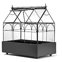 Algopix Similar Product 2 - H Potter Glass Terrarium Plants