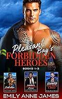 Algopix Similar Product 13 - Pleasant Bays Forbidden Heroes A