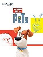 Algopix Similar Product 6 - The Secret Life of Pets