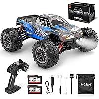 Algopix Similar Product 1 - Hosim RC Car 116 All Terrain 4WD RC